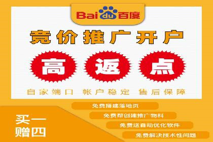 揭秘百度推广费用：从零到一的营销策略